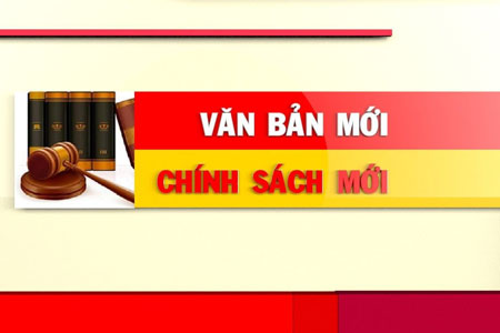 Chính sách nổi bật