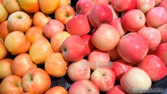 Hướng dẫn lựa chọn rau củ quả