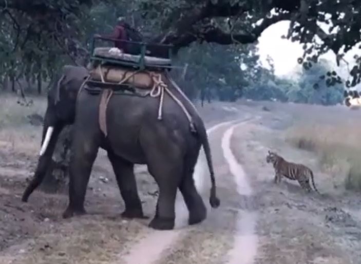 Ảnh cắt từ clip.