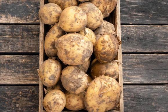 Hướng dẫn bảo quản thực phẩm