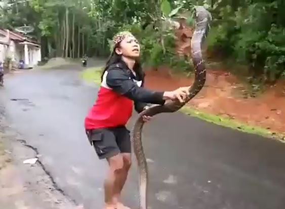 Ảnh cắt từ clip.