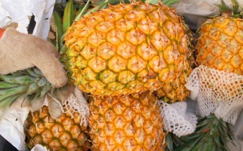 Bí quyết chọn dứa ngon ngọt: Mẹo nhỏ nhưng hiệu quả không ngờ!