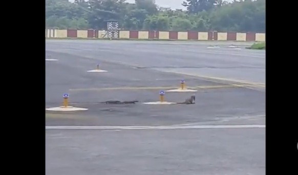 Ảnh cắt từ clip.