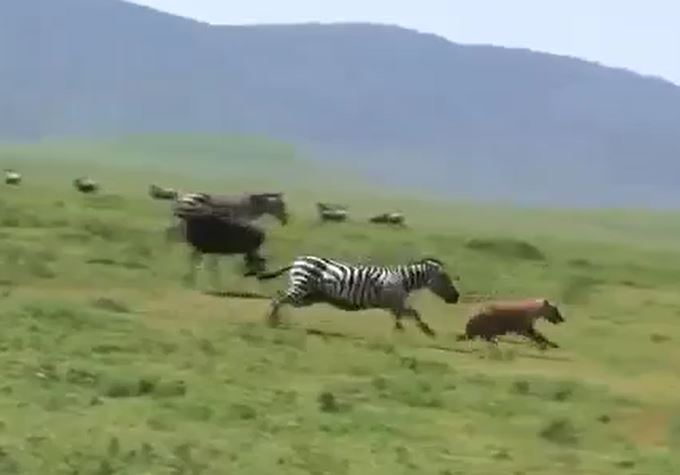 Ảnh cắt từ clip.