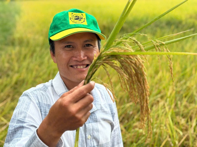 Mô hình lúa giảm phát thải phát triển vùng nguyên liệu Đồng bằng sông Cửu Long, thực hiện trên 50ha bằng giống ST25, tại tỉnh Sóc Trăng cho lợi nhuận cao.