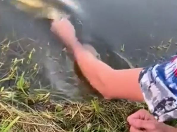 Ảnh cắt từ clip.