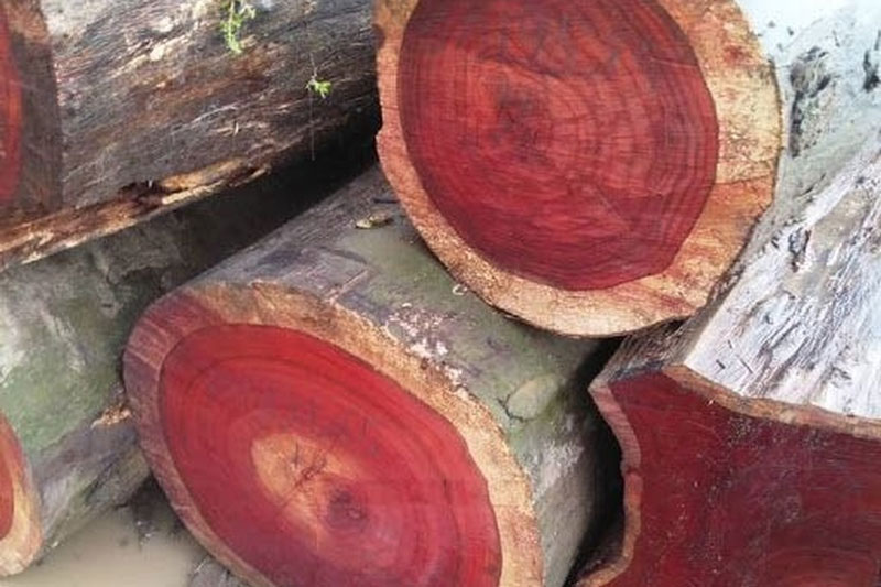 Ảnh minh hoạ. Ảnh minh hoạ.