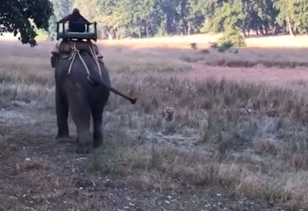 Ảnh cắt từ clip.