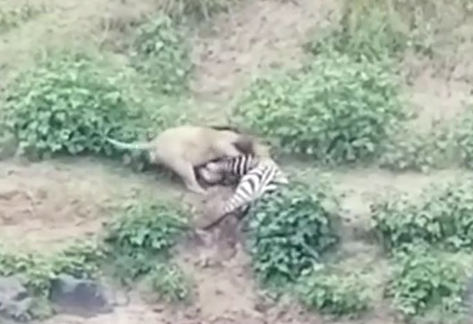 Ảnh cắt từ clip.