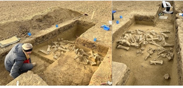 "Nghĩa địa quái vật" được khai quật tại Áo - Ảnh: ÖAW "Nghĩa địa quái vật" được khai quật tại Áo - Ảnh: ÖAW