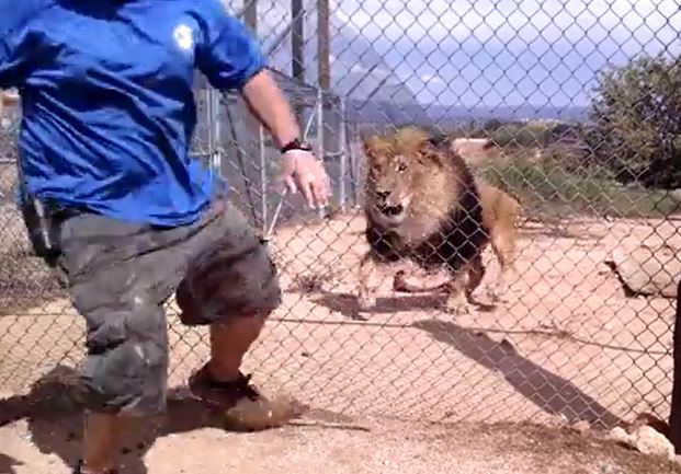 Ảnh cắt từ clip.