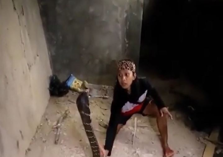 Ảnh cắt từ clip.