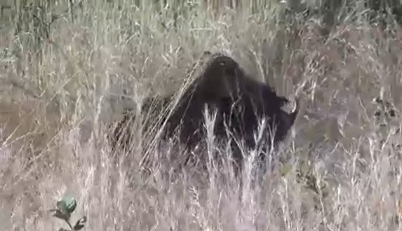 Ảnh cắt từ clip. Ảnh cắt từ clip.