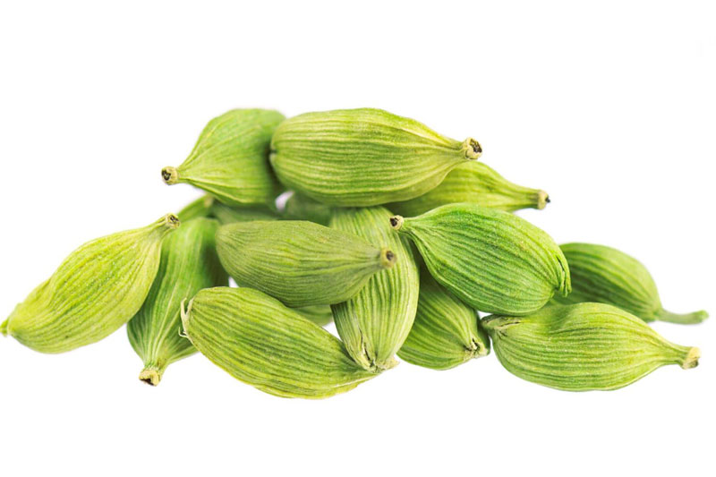 Bạch đậu khấu.