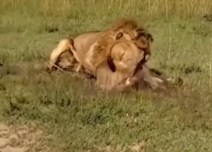 Ảnh cắt từ clip.