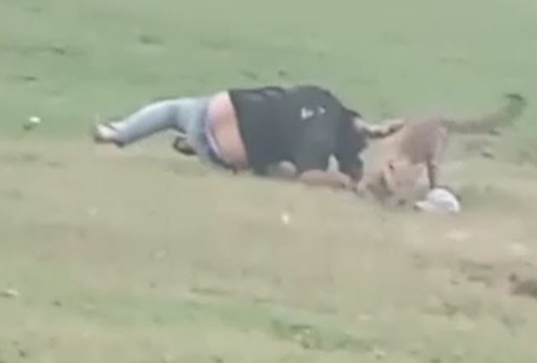 Ảnh cắt từ clip.