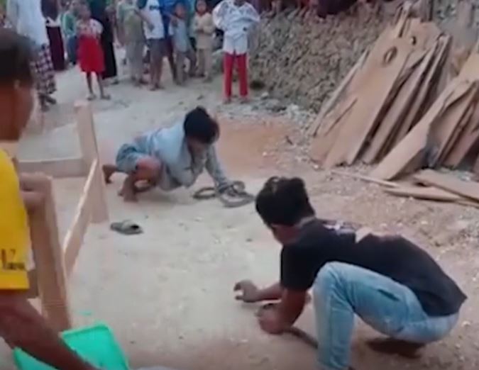 Ảnh cắt từ clip.