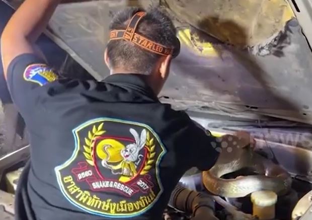 Ảnh cắt từ clip.