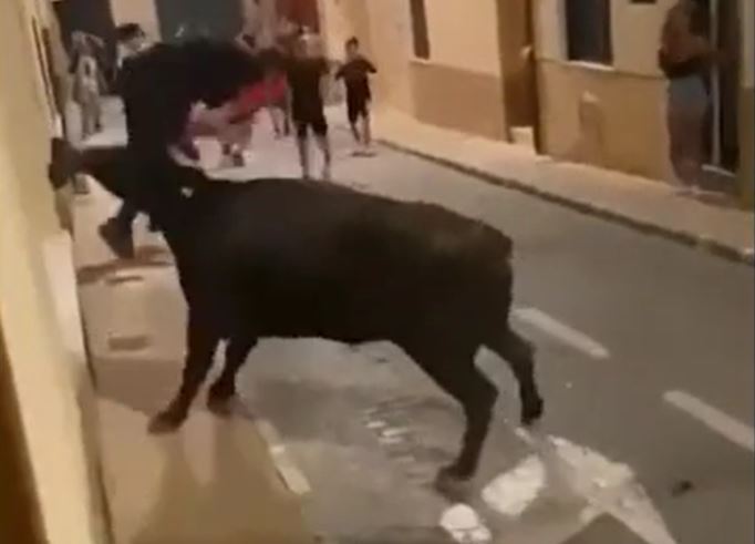 Ảnh cắt từ clip.