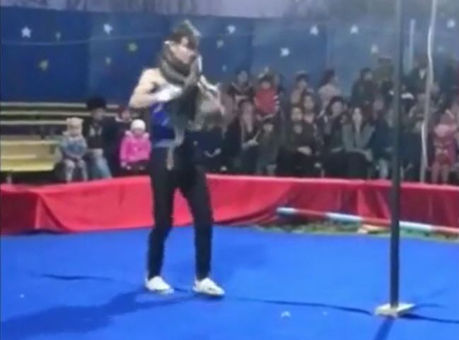 Ảnh cắt từ clip.