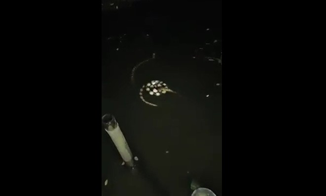 Ảnh cắt từ clip.