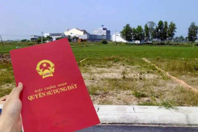 Ảnh minh họa. Ảnh minh họa.