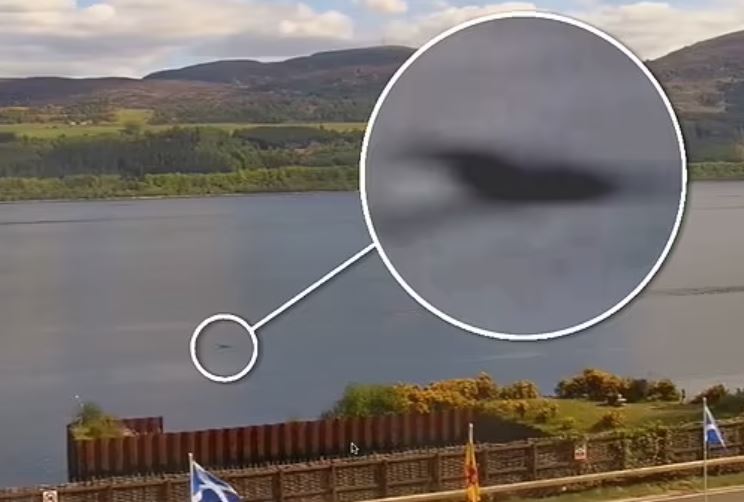 Đây là khoảnh khắc 'ngoạn mục' khi một con Nessie con nuốt chửng con mồi, để lộ chiếc cổ dài và bướu trên mặt nước, một thợ săn quái vật tuyên bố