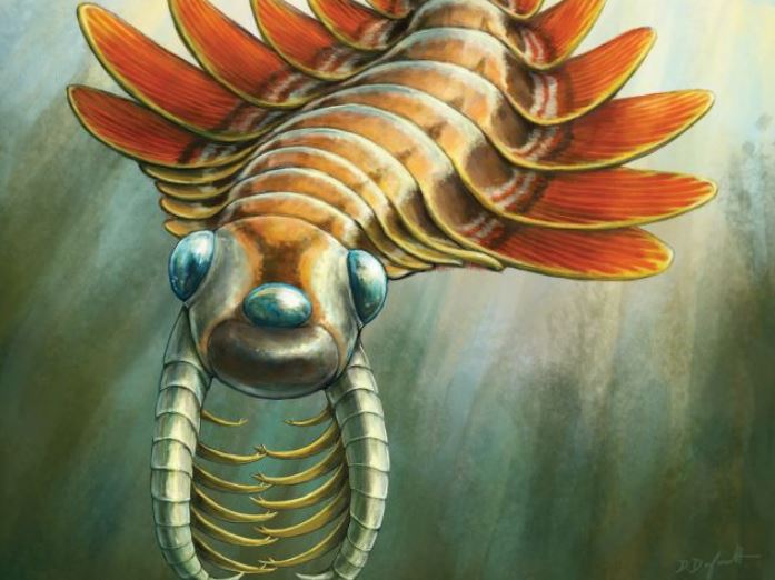 Một bản tái tạo nghệ thuật của Mosura fentoni .