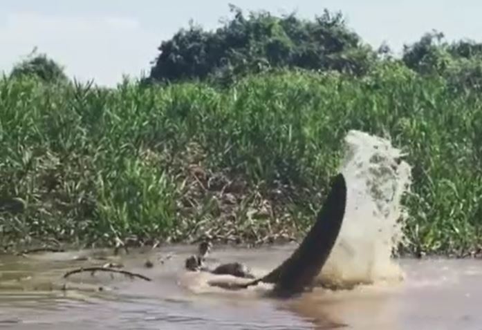 Ảnh cắt từ clip.