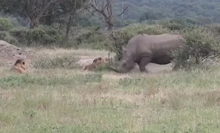 Ảnh cắt từ clip.