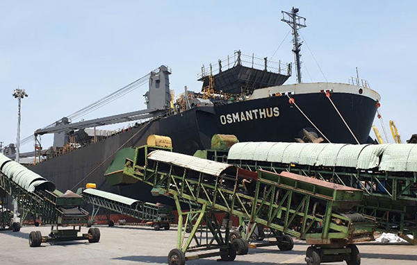 Tàu Osmanthus (Panama) tải trọng 49.794 DWT vào làm hàng dăm gỗ tại cầu cảng TS1A bến Tiên Sa. Tàu Osmanthus (Panama) tải trọng 49.794 DWT vào làm hàng dăm gỗ tại cầu cảng TS1A bến Tiên Sa.