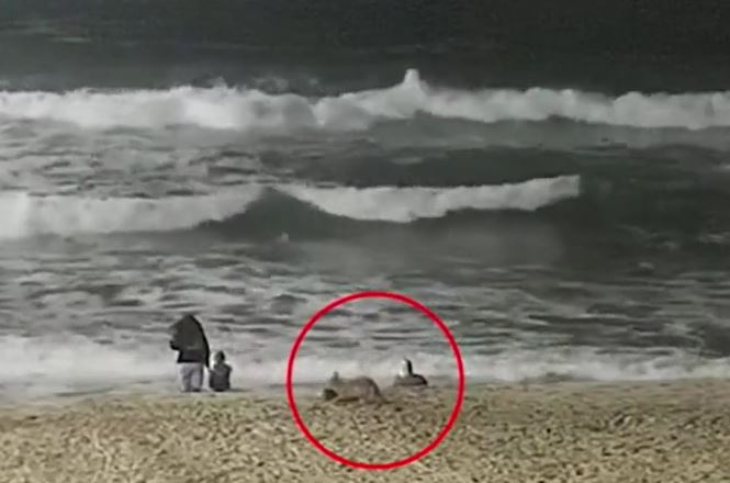 Ảnh cắt từ clip.