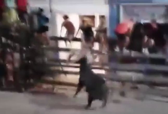 Ảnh cắt từ clip.