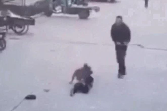 Ảnh cắt từ clip.