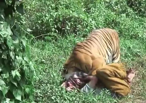 Ảnh cắt từ clip.