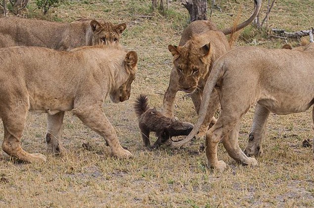 Ảnh cắt từ clip.