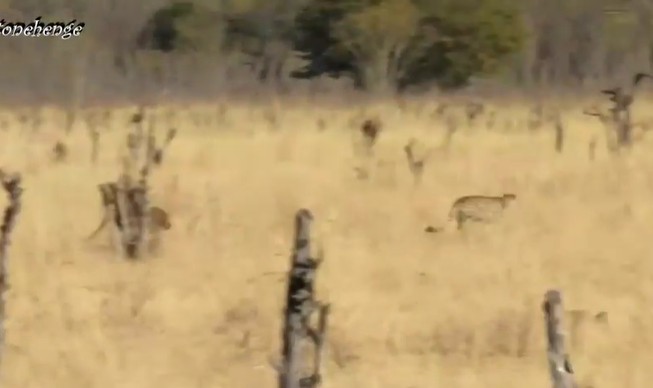 Ảnh cắt tử clip.