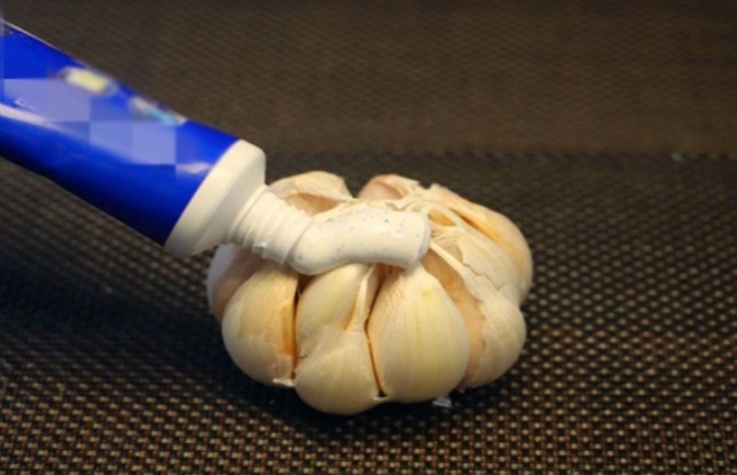 Đặt củ tỏi bôi kem đánh răng trong phòng tắm: Mẹo nhỏ ít ai ngờ tới, hiệu quả bất ngờ