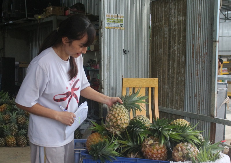 Dứa mật Đam Rông chuẩn bị lên đường đi phục vụ người tiêu dùng các tỉnh.