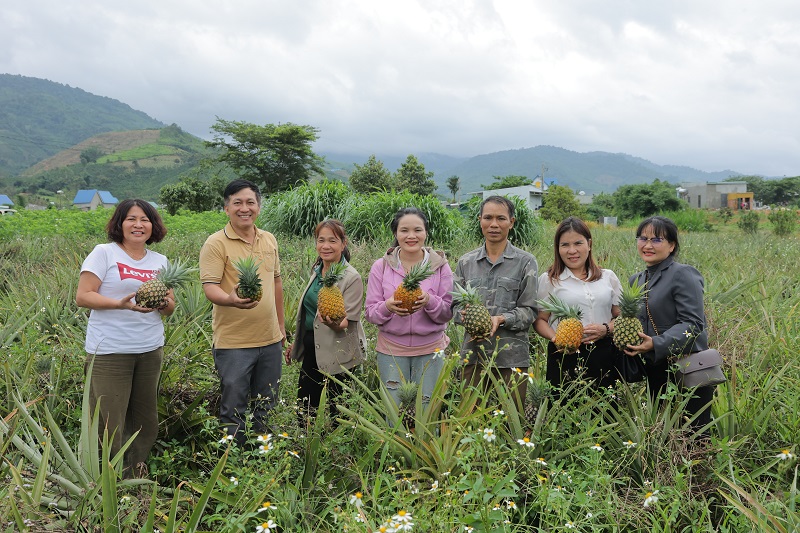 Những quả dứa tươi chất lượng từ Đam Rông còn có thể chế biến thành nhiều món ăn, uống để nâng cao giá trị sản phẩm.  