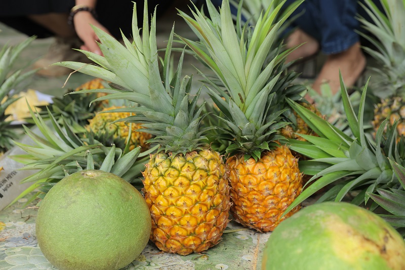 Những quả dứa mật Đam Rông chín mọng hấp dẫn.