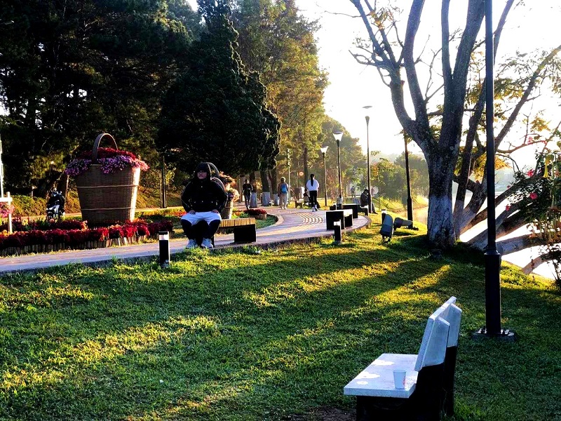 Sướm mai Đà Lạt. Sướm mai Đà Lạt.