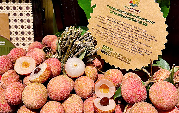 Vải tổ Thanh Hà hiện được bán độc quyền tại hệ thống siêu thị cao cấp Mena Gourmet. Vải tổ Thanh Hà hiện được bán độc quyền tại hệ thống siêu thị cao cấp Mena Gourmet.