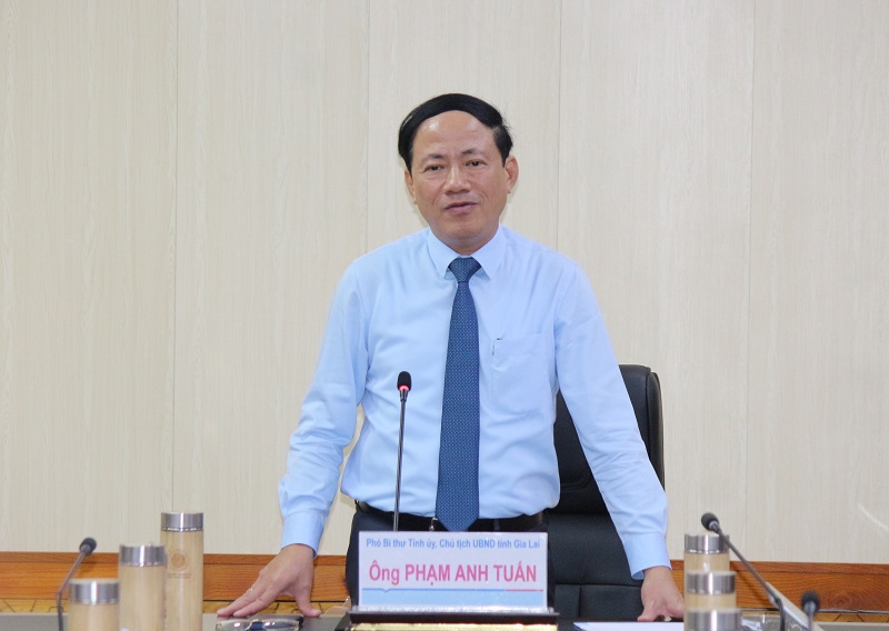 Chủ tịch UBND tỉnh Gia Lai Phạm Anh Tuấn phát biểu chỉ đạo.