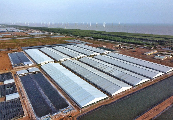 Khu nuôi tôm công nghệ cao tại Bạc Liêu nay là Cà Mau. (ảnh: Hữu Thọ) Khu nuôi tôm công nghệ cao tại Bạc Liêu nay là Cà Mau. (ảnh: Hữu Thọ)