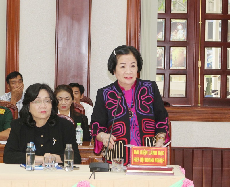Bà Nguyễn Thị Sen-Chủ tịch Hiệp hội Doanh nghiệp tỉnh Gia Lai (cũ) phát biểu ý kiến tại hội nghị 