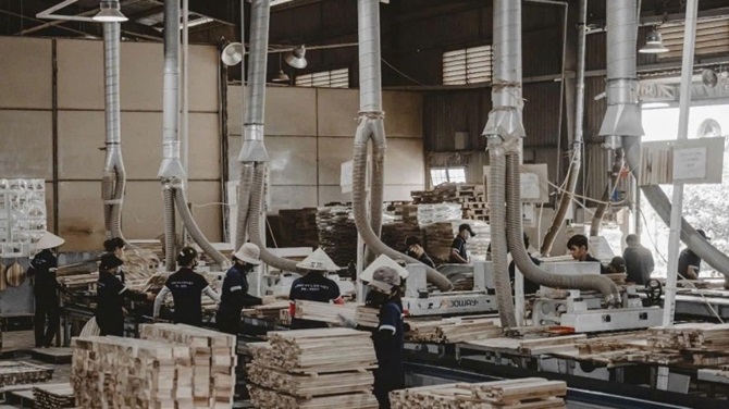 Sản xuất gỗ ở Công ty xuất nhập khẩu Thiên Lộc.