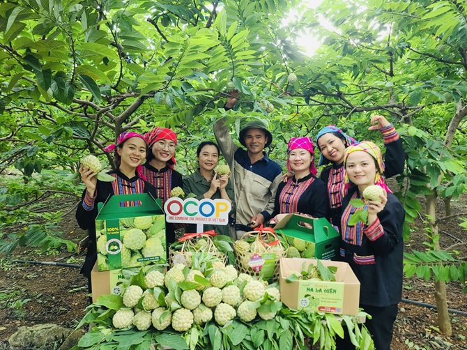 Chương trình nhằm đẩy mạnh quảng bá, truyền thông, xúc tiến, nâng cao giá trị, mở rộng thị trường tiêu thụ sản phẩm na của Thái Nguyên Chương trình nhằm đẩy mạnh quảng bá, truyền thông, xúc tiến, nâng cao giá trị, mở rộng thị trường tiêu thụ sản phẩm na của Thái Nguyên