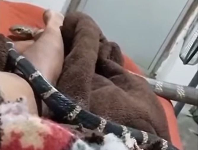 Ảnh cắt từ clip.