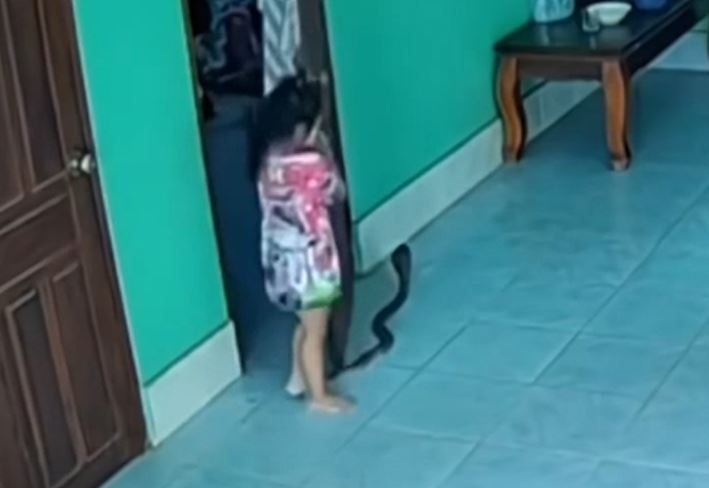 Ảnh cắt từ clip.